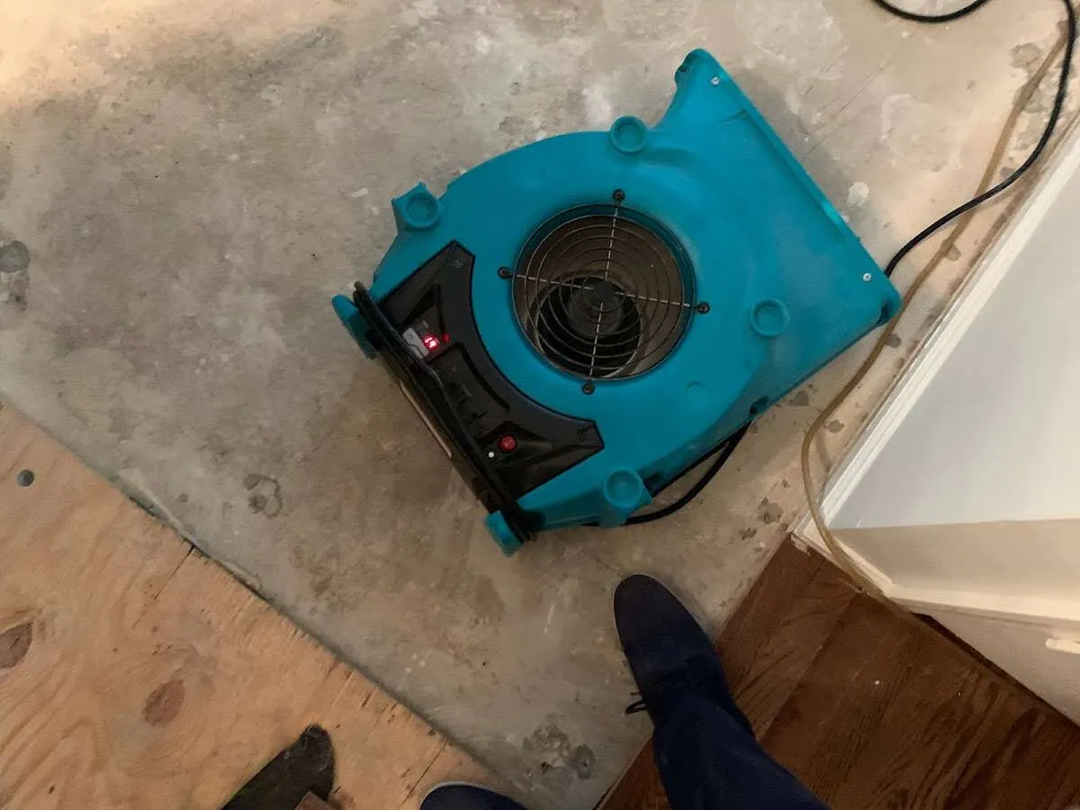 Air mover drying subfloor during Commercial Water Damage Restoration in Dundee